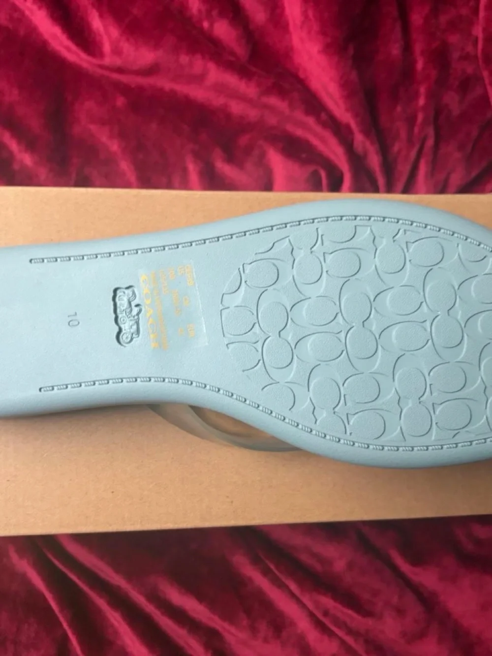 Coach Light blue jelly flip flop